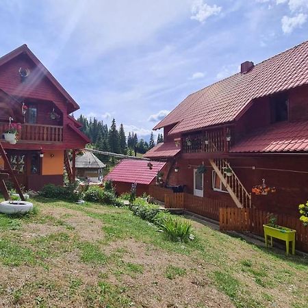 Cabana Cret Ocoale Exteriör bild