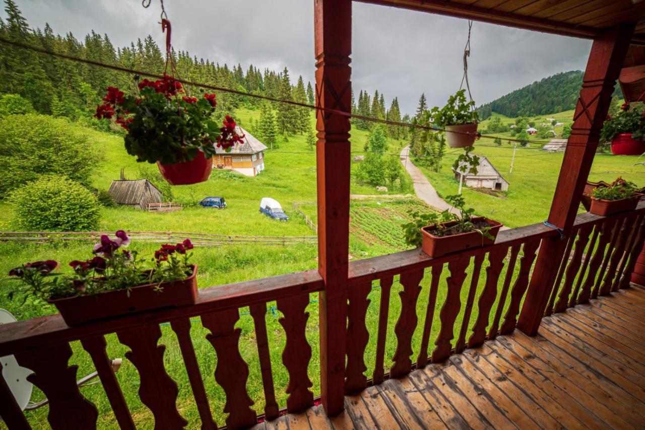 Cabana Cret Ocoale Exteriör bild