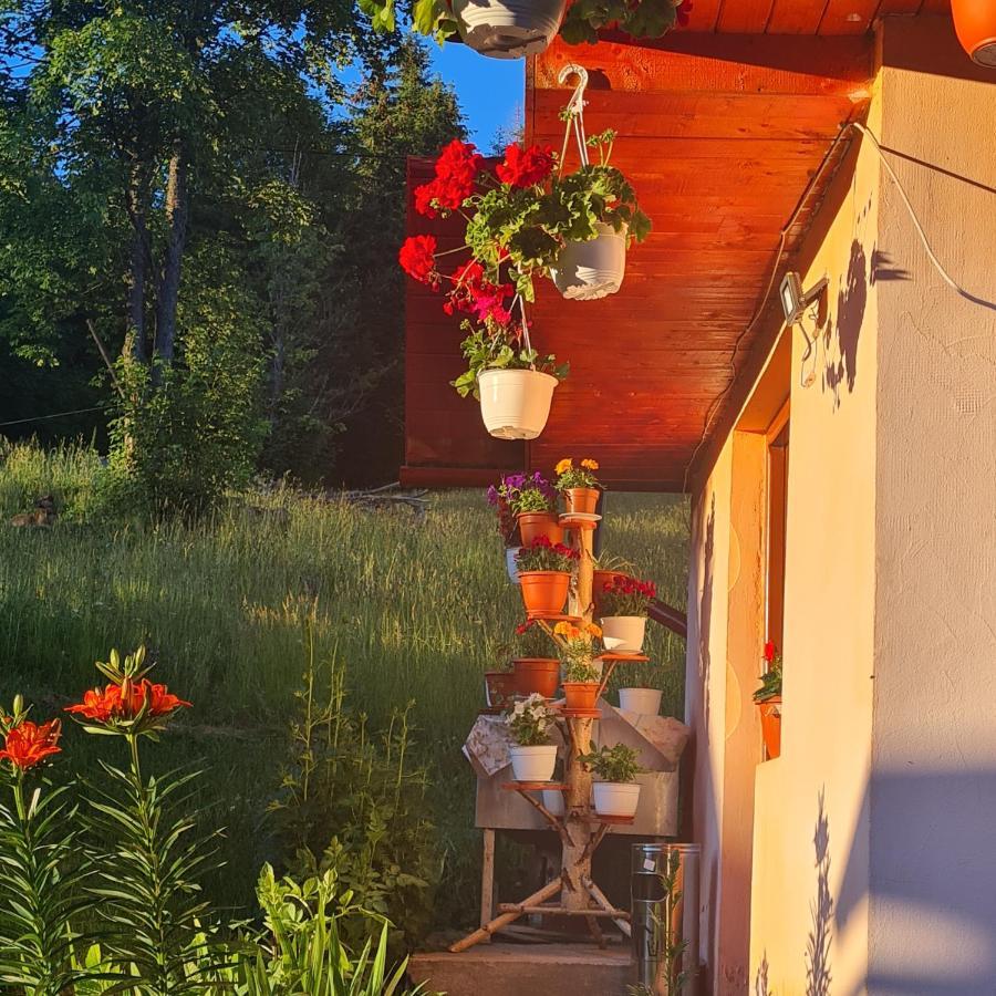 Cabana Cret Ocoale Exteriör bild